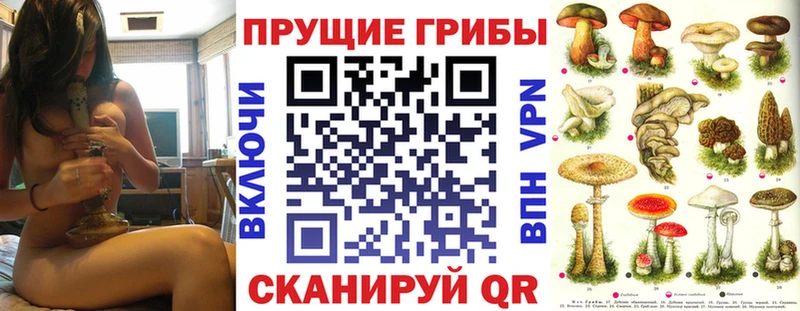 Купить  Почеп  Псилоцибиновые грибы ЛСД 